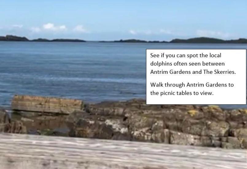 Apt3, No 2 Antrim Gardens, Portrush With Seaview Bagian luar foto